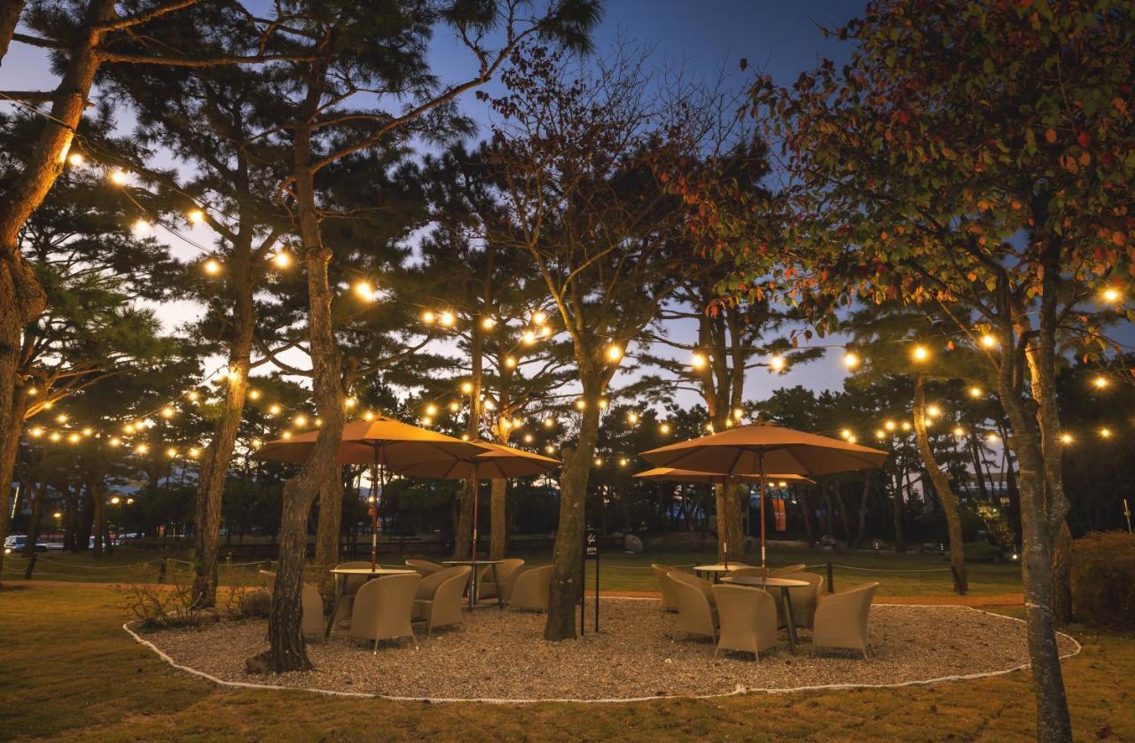 Kensington Resort Seorak Beach Sokcho Exteriör bild